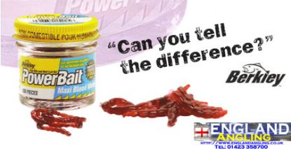 Picture of BERKLEY Bloodworm (textured rubber)