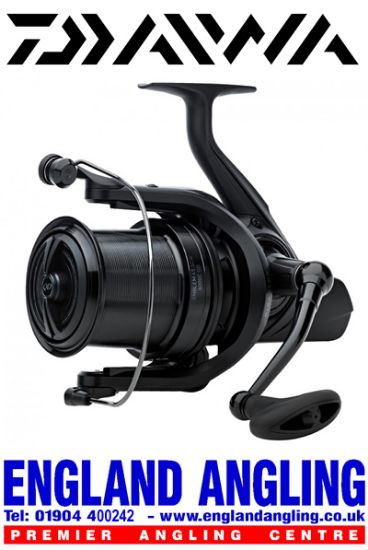 Picture of DAIWA 19 EMBLEM 45 SCW QD