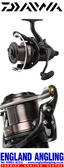 Picture of DAIWA Castizm BR 25A