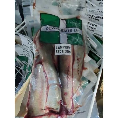 Picture of DEVON BAITS Lamprey Sections 4 PACK