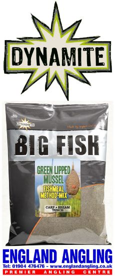 Picture of DYNAMITE BAITS Big Fish GLM Fishmeal Method Mix 1.8KG