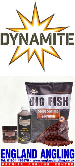 Picture of DYNAMITE BAITS Spicy Shrimp and Prawn ShelfLife Boilies