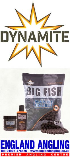 Picture of DYNAMITE Marine Halibut Boilies