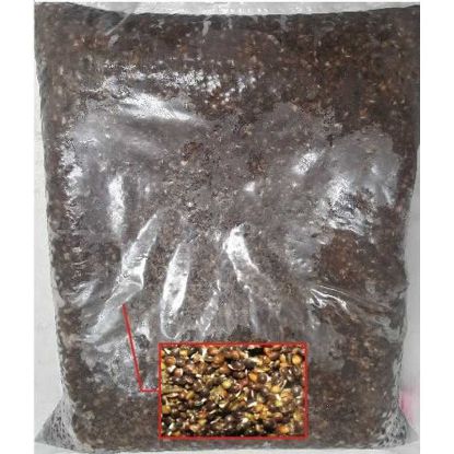 Picture of ENGLAND ANGLING Prepared Hemp 5kg (Frozen)