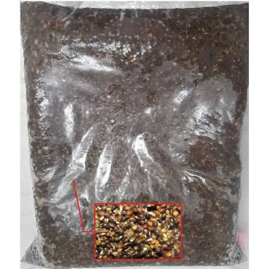 Picture of ENGLAND ANGLING Prepared Hemp 5kg (Frozen)