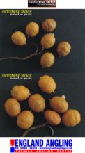 Picture of ENTERPRISE TACKLE Mini Tiger Nuts Pop-Up