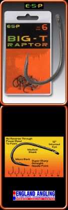 Picture of ESP Raptor Big T Raptor Hooks SIZE 5 BARBLESS (10 per pack) *SALE*