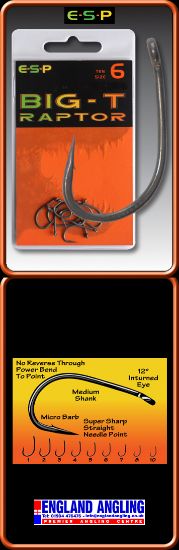 Picture of ESP Raptor Big T Raptor Hooks SIZE 5 BARBLESS (10 per pack) *SALE*