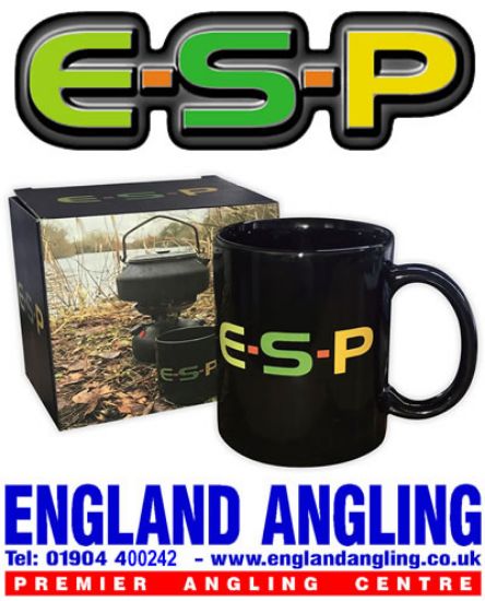 Picture of ESP Mug