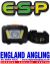 Picture of ESP Flood Light Head Torch