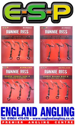 Picture of ESP Ronnie Rigs