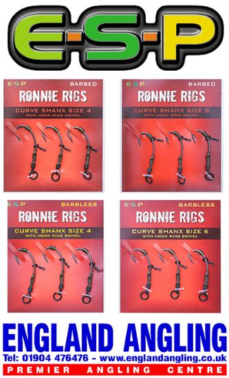 Picture of ESP Ronnie Rigs