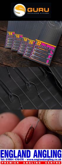 Picture of GURU Pole Special Rigs 8inch