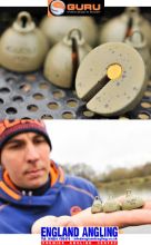 Picture of GURU Plummet (2 per pack) 20g