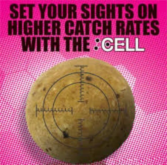 Picture of MAINLINE Cell Range