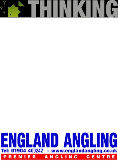 Picture of THINKING ANGLERS PTFE Hook Ring Swivels