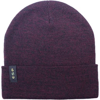 Picture of ESP Beanie Hat Maroon/Black