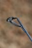 Picture of KORDA Kaizen Green Floater Rod 12ft 2.75lbs *SALE*