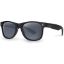 Picture of FOX RAGE Sunglasses Matt Black Grey Lens