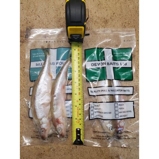 Picture of DEVON BAITS Deadbait Smelt Extra Large 2 Pack