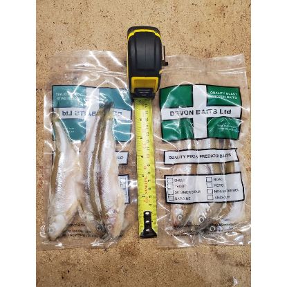 Picture of DEVON BAITS Deadbait SMELT Large 3 Pack