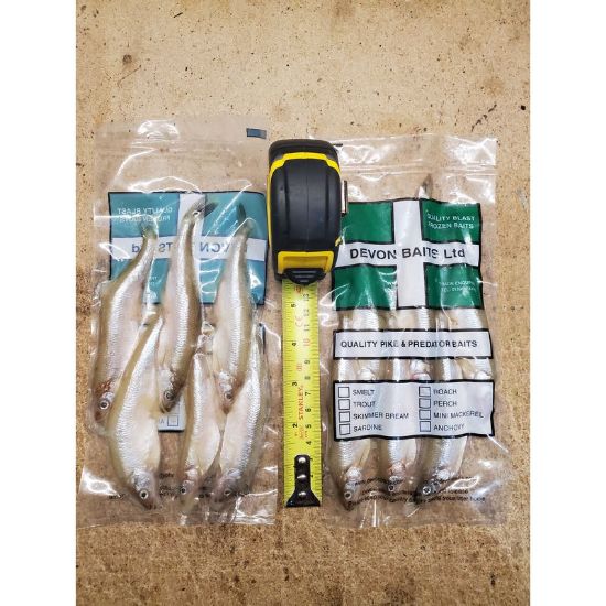 Picture of DEVON BAITS Deadbait Smelt Small 6 Pack