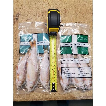 Picture of DEVON BAITS Deadbait Roach 3 Pack