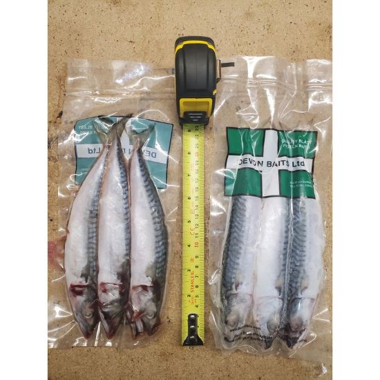 Picture of DEVON BAITS Deadbait Joey Mackerel 3 pack