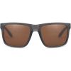 Picture of FORTIS Bays Sunglasses Brown