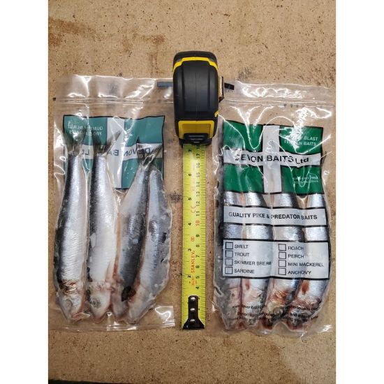 Picture of DEVON BAITS Deadbait SARDINE (4 pack)