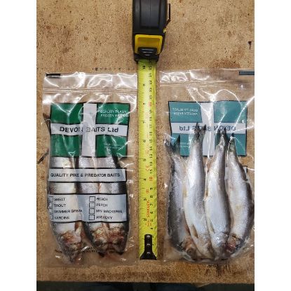 Picture of DEVON BAITS Deadbait HERRING JACKS (3 pack)