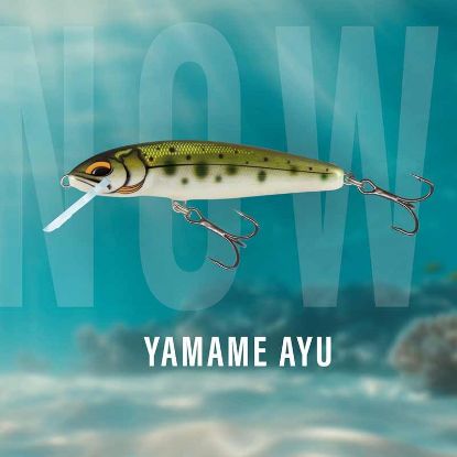 Picture of SALMO Minnow 7 Floating Yasame Ayu 5cm