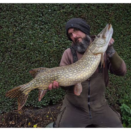 Picture for category Predator Rods