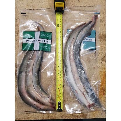 Picture of DEVON BAITS Deadbait Lamprey WHOLE (3 Pack)