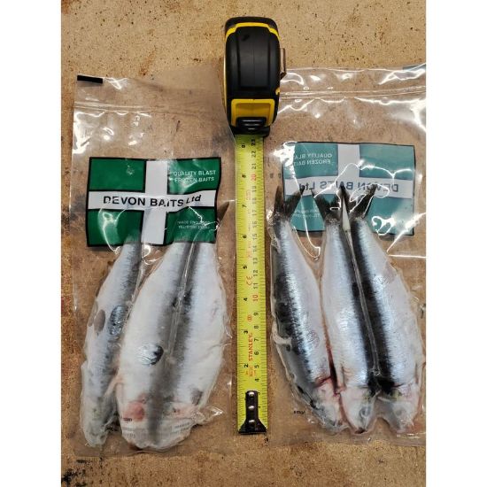 Picture of DEVON BAITS Deadbait SARDINE (3 pack)