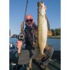 Picture of FOX RAGE Terminator Versatile Light Casting Rod 210cm/6ft 11in (7g-28g) *SALE*