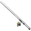 Picture of DAIWA D-Spin Rod and Reel 6ft COMBO 5g-20g Rod, 2500 Reel incl Braid